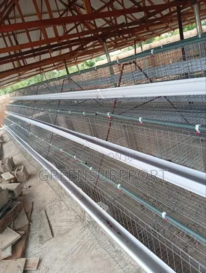 Poultry Cages
