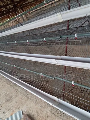 Poultry Cages