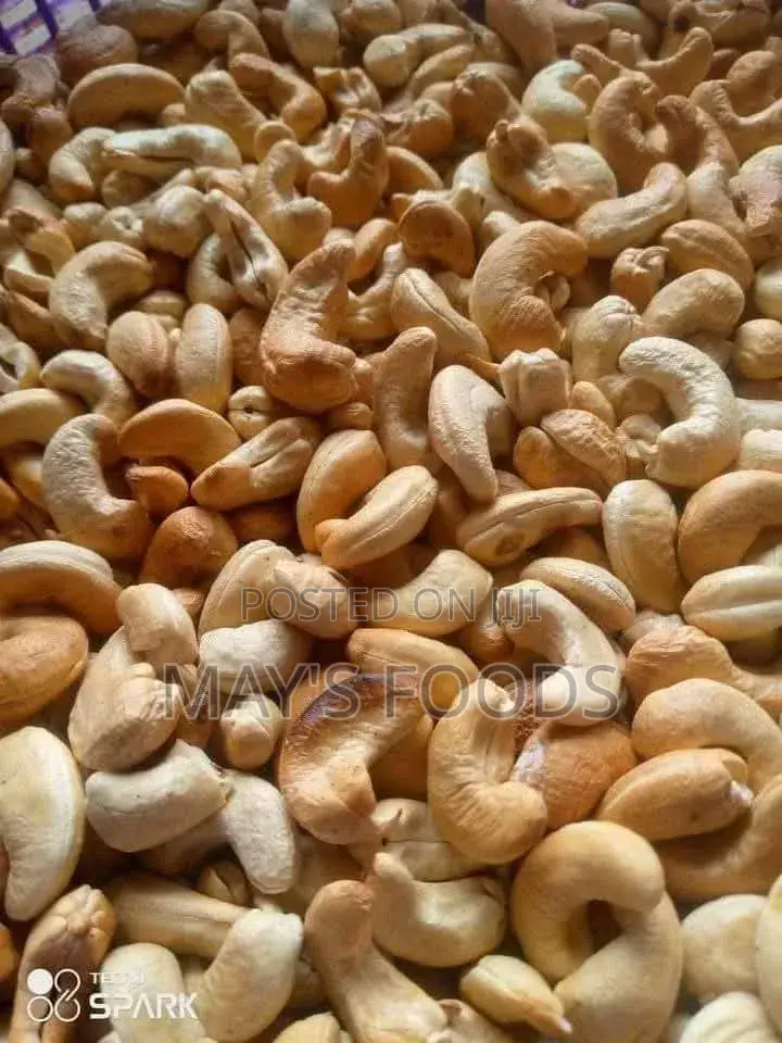 Fresh Cashew Nuts