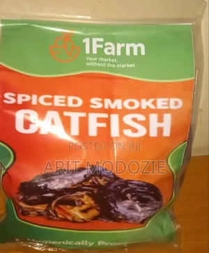 Spiced Oven Dried Catfish