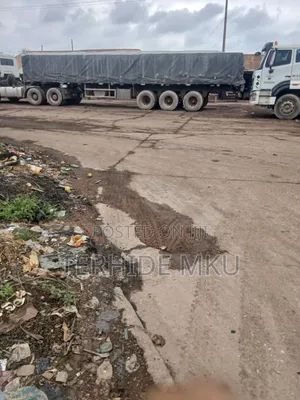 Dangote,block and Bua Cement Nationwide