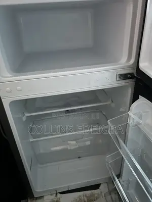 Hisense 120 Silver 91L Double Door