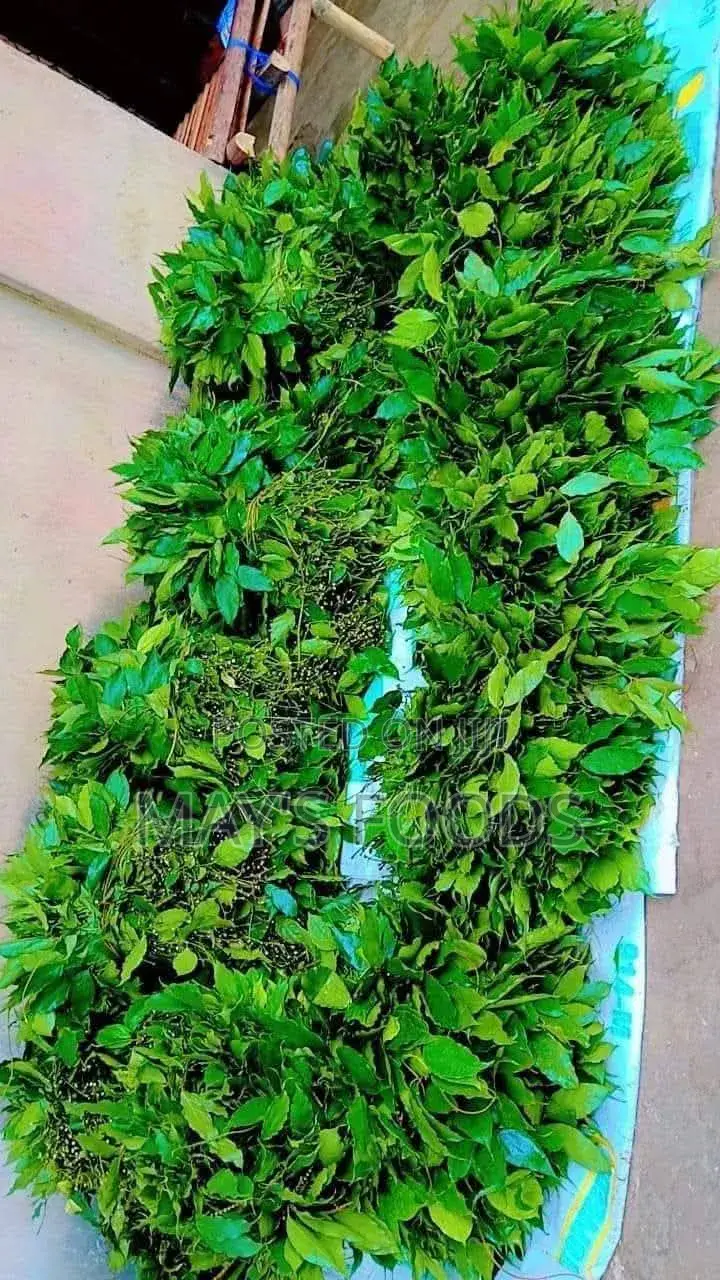 Afang Leaf