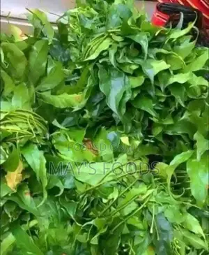 Afang Leaf