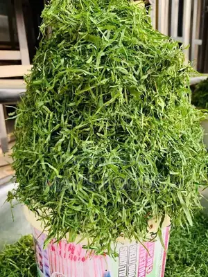 Afang Leaf