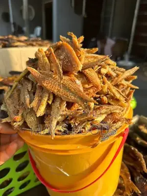 Deboned Bonga Fish