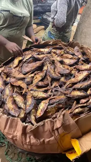 Deboned Bonga Fish