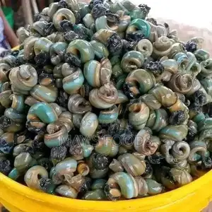 Fresh Periwinkle