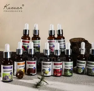 Luxury Air Fresheners Diffusers for Home, Office, Hotel Car
