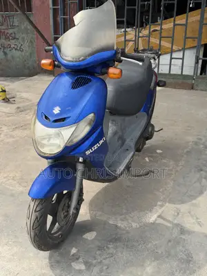 Suzuki 2010 Blue