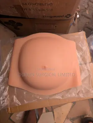 Artificial Pregnancy 4 to 6 Months