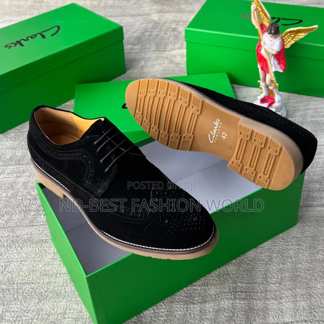 Clarks Suede Shoes