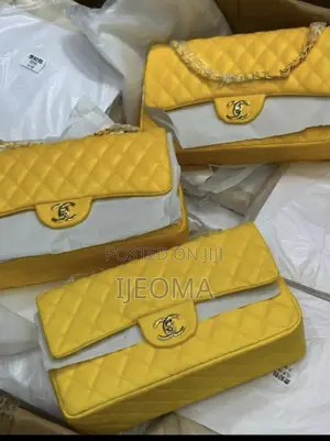 Cute Ladies Handbag – Stylish and Beautiful Women’s Bag