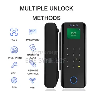 Framless Glass Door Intelligence Digital Biometric Smartlock
