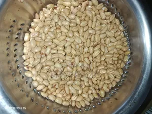 Fresh Groundnut