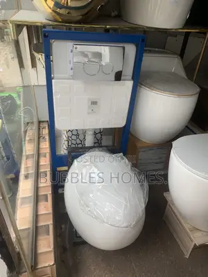 Egg Concealed Wc