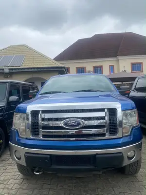 Ford F-150 FX4 2010 Blue
