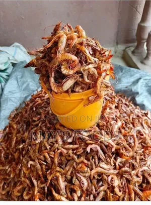 Big Dried Crayfish