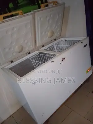 Haier Thermocool 425L Freezer