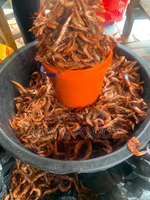 Big Dried Crayfish