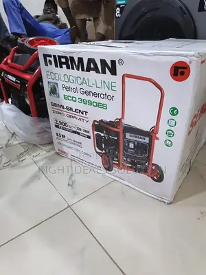 Firman ECO3990ES Household Generator