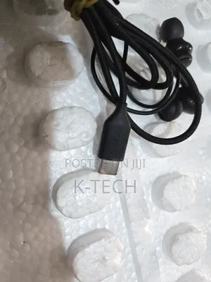 Samsung AKG Type C Earphone