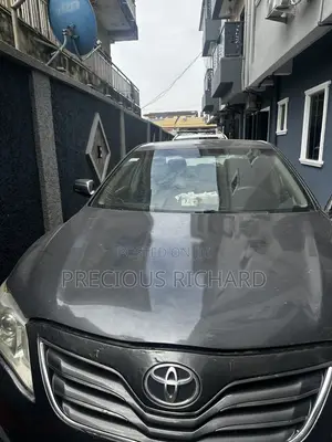 Toyota Camry 2010 Gray