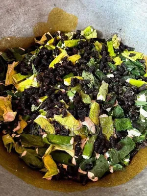 Ekpang Nkukwo