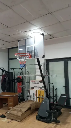 Big Adjustable Basketball Stand