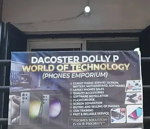 Phone Repairer Service