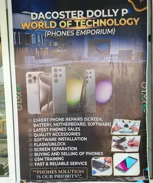 Phone Repairer Service