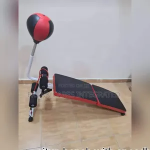 Adjustable Sit-Up Bench With Speed Ball