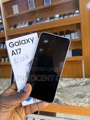 Samsung Galaxy A17 5G 256 GB Gray