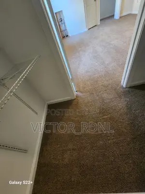 Outstanding Wall to Wall Rug