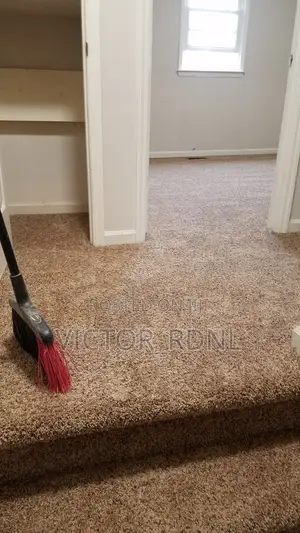Fluffy Wall to Wall Rug