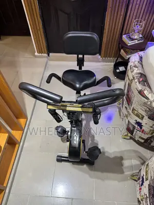 Sean Lee X E-Bike for Exercise