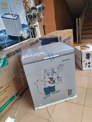 Skyrun Inverter Deep Freezer 145 Litre