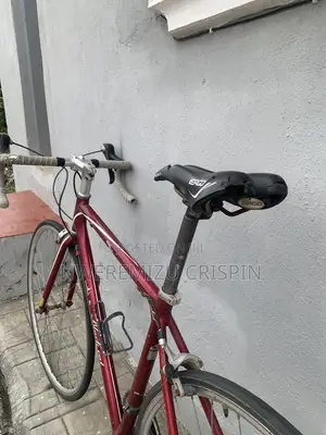 Sports Bicycle for Sale