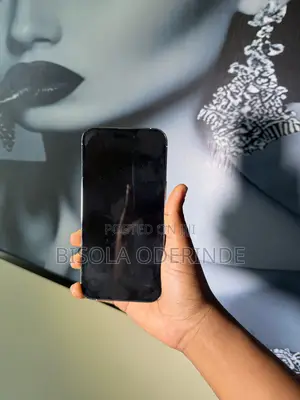 Apple iPhone 14 Pro Max 256 GB Silver