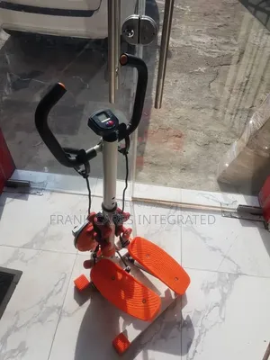 Standing Stepper With Twister and Digital Display