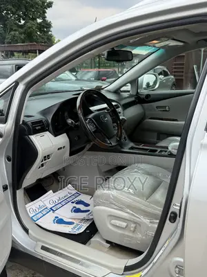 Lexus RX 350 2010 Silver
