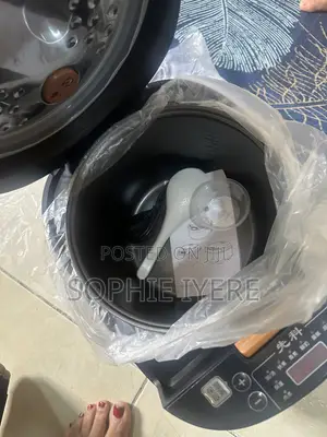 Electric Rice Cooker