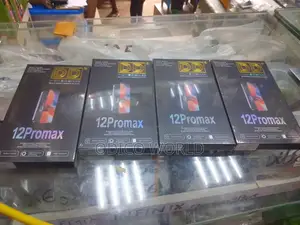 Original 12 Pro Max Screen