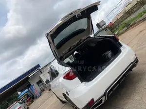 Lexus RX 2010 White