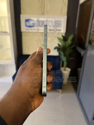 Apple iPhone 16 Plus 256 GB Green