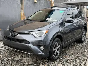 Toyota RAV4 XLE 4dr SUV (2.5L 4cyl 6A) 2018 Gray