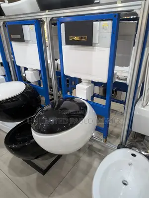 Modern Wall Hung Egg Shaped Toilet With Concealed Cistern