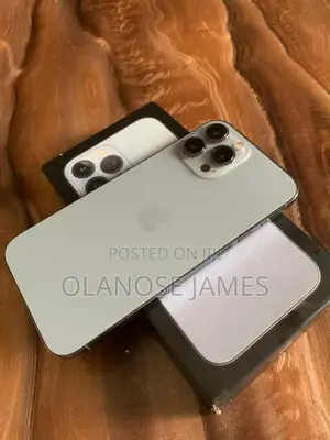 Apple iPhone 13 Pro Max 256 GB Gray