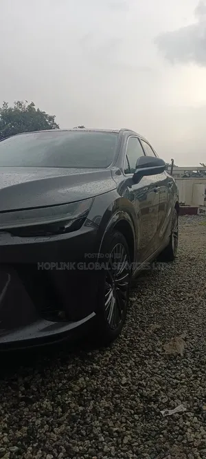 Lexus RX 350 2023 Gray