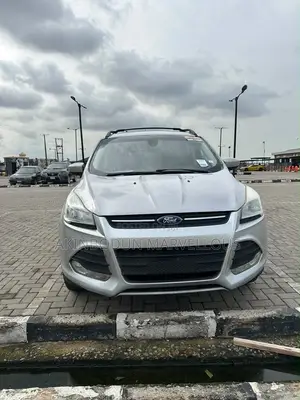 Ford Escape SE 2013 Gray